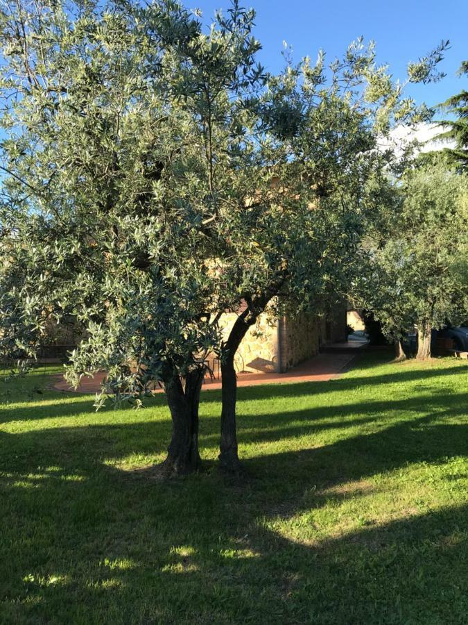 La Casina Rosella Apartman Montaione Kültér fotó